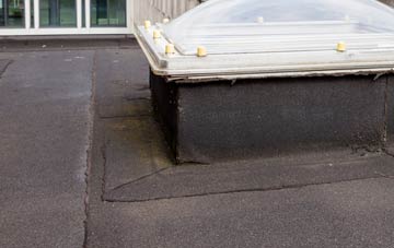 disadvantages of Cannop flat roofs