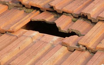 roof repair Cannop, Gloucestershire